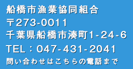 船橋市漁業協同組合 連絡先